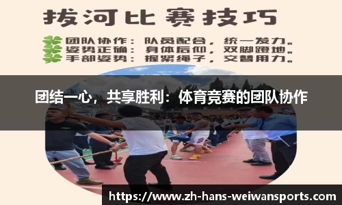 微玩体育官网