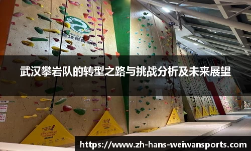 武汉攀岩队的转型之路与挑战分析及未来展望